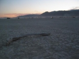 Burningman_0055