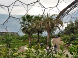 Interior_of_Mediterranean_biome,_Eden_Project