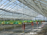 glasshouse_crops_3