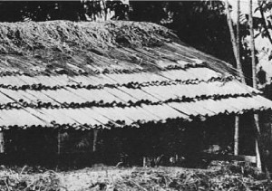 Double layers of bamboo shingles