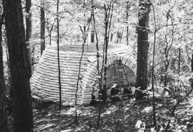 Marlene Wulf's earthbag dome under construction, deep in the woods of Georgia.