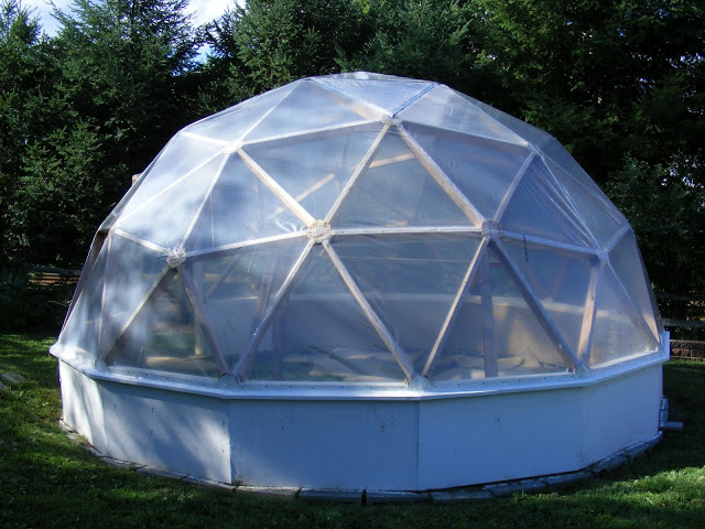 diy_geodesic_greenhouse_5670