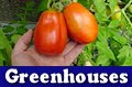 Learn about building and operating greenhouses